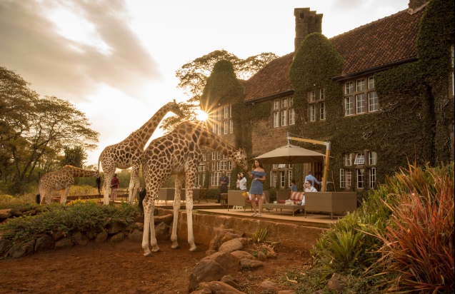 Americans can visit Kenya